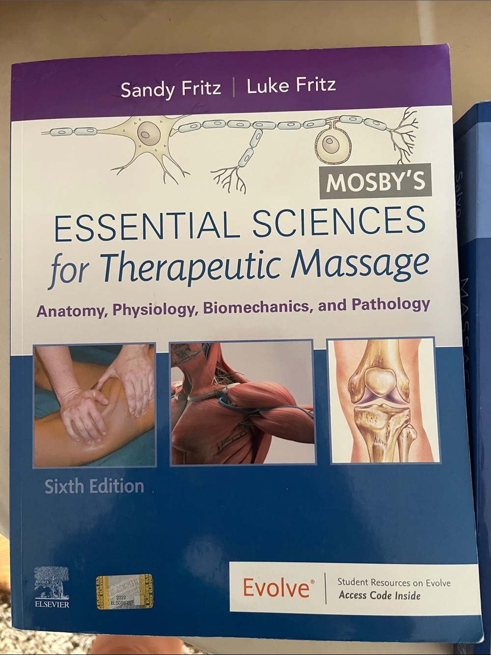 Mosby’s Essential Sciences for Therapeutic Massage 6th Edi - Sandy & Luke Fritz